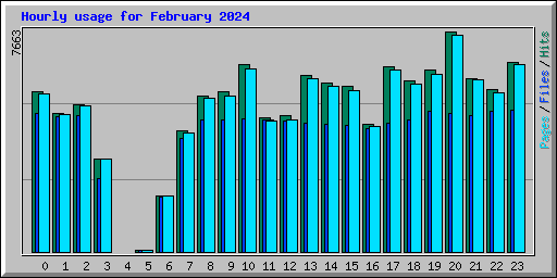 Hourly usage for February 2024